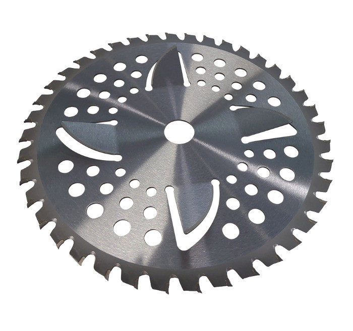 Disco con placchette in tungsteno 40 denti diametro 255 mm razor Ama 99257 - Ama