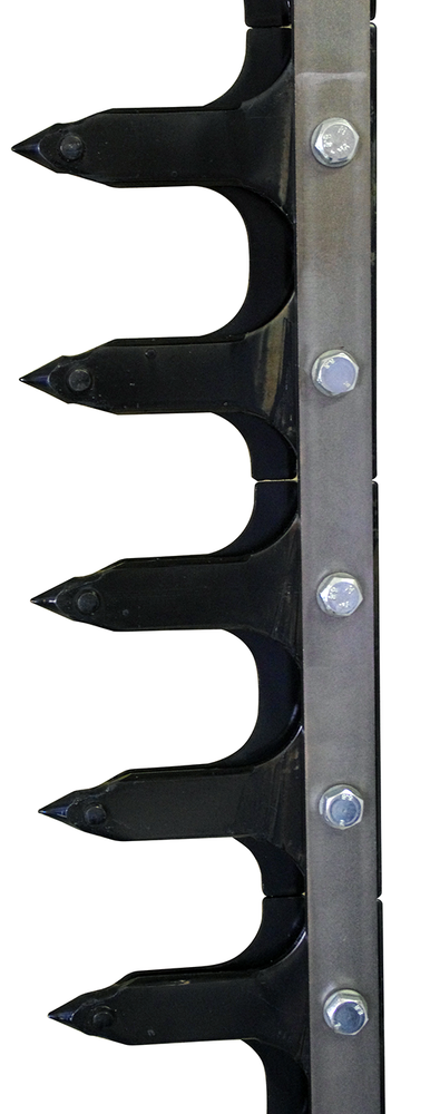 Dentiera 14 denti lunghezza 2,05 mt adattabile a Gaspardo FBR 13013770 - Ama