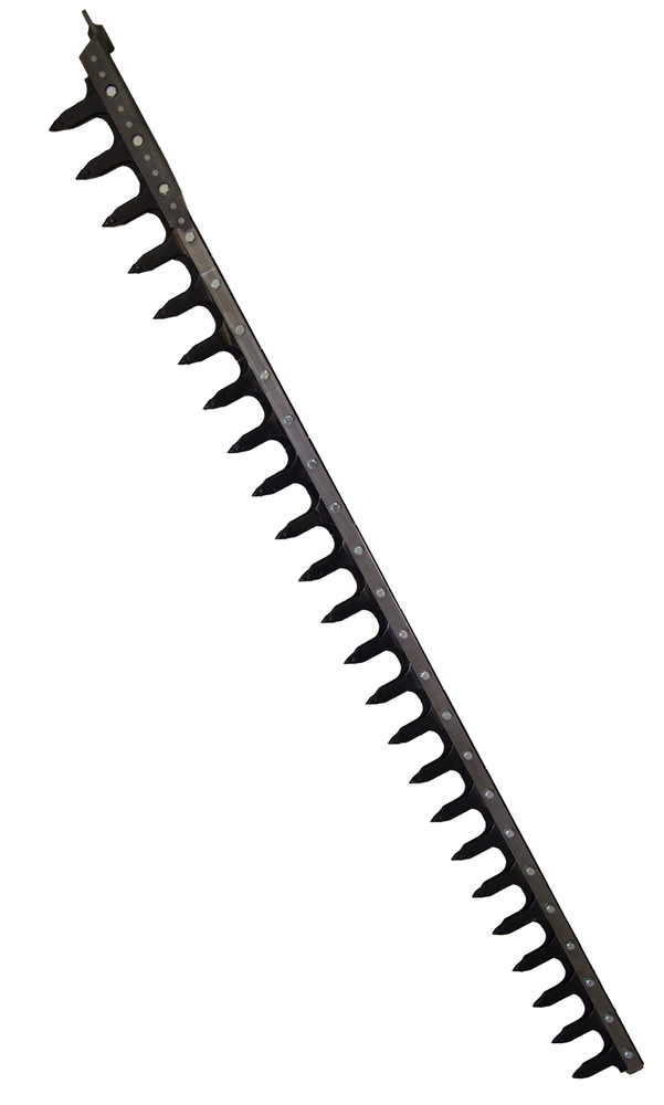 Dentiera 12 denti lunghezza 1,75m adattabile a Gaspardo FBR 13013770 - Ama