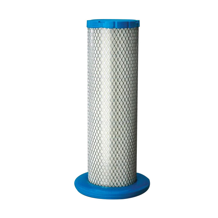 Filtro per l'aria Donaldson  P613335 - Donaldson