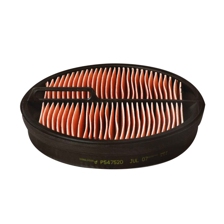 Filtro per l'aria Donaldson  P547520 - Donaldson