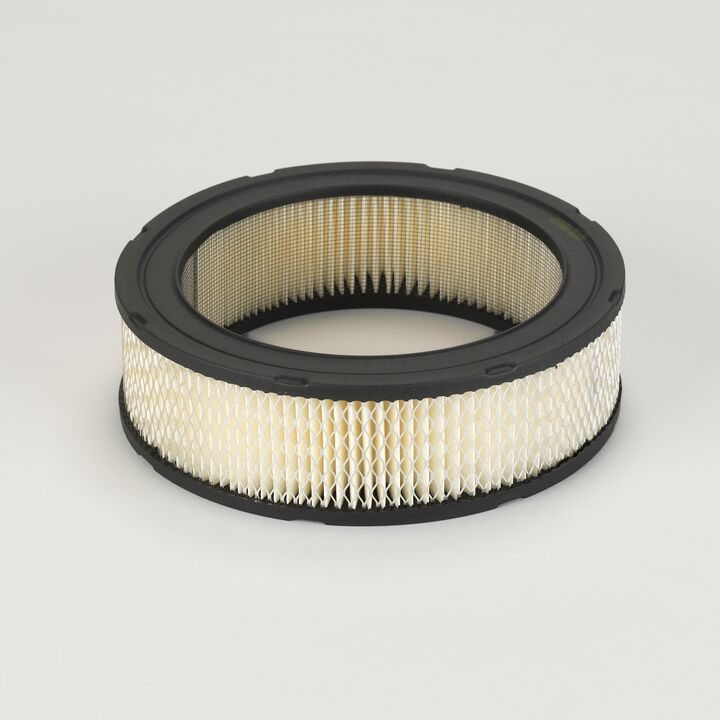 Filtro per l'aria Donaldson P524391 - Donaldson