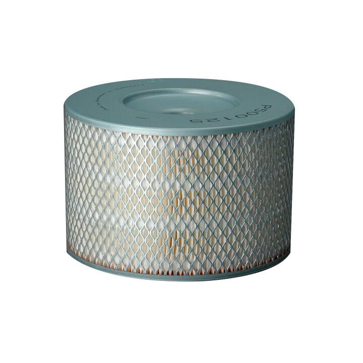 Filtro per l'aria Donaldson P500125 - Donaldson