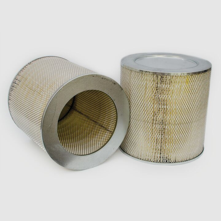 Filtro per l'aria Donaldson P181031 - Donaldson