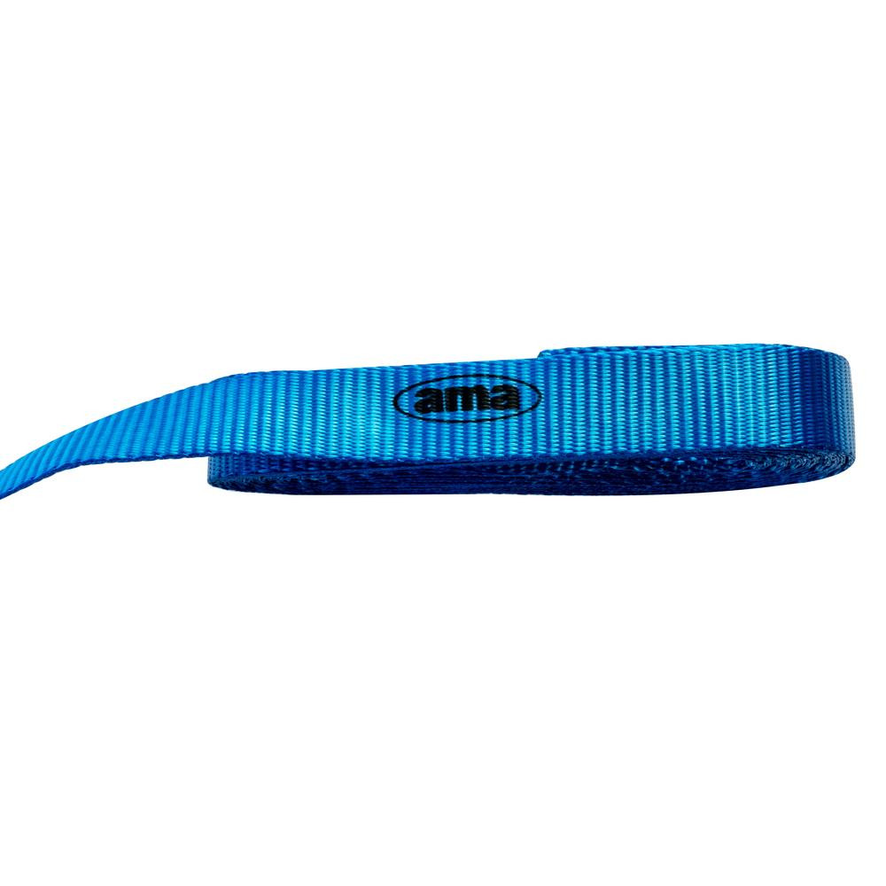 Fascia di ancoraggio in poliestere con cricchetto e ganchi ad uncino 5,5mt 25mm 750dan - Ama