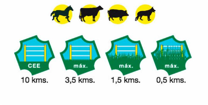 Elettrificatore per recinti Ama BT40 a batteria da 9/12 V - Ama