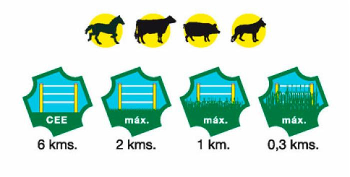 Elettrificatore Ranch Ama S250 a pannello solare - Ama