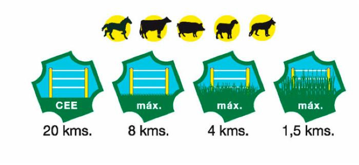 Elettrificatore Ranch Ama S750 a batteria con alimentazione a pannello solare 10W - Ama