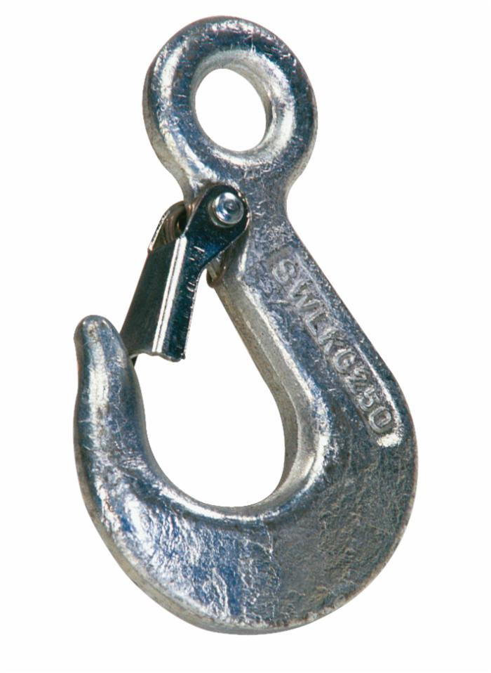 Gancio con sicura portata 500kg - Ama