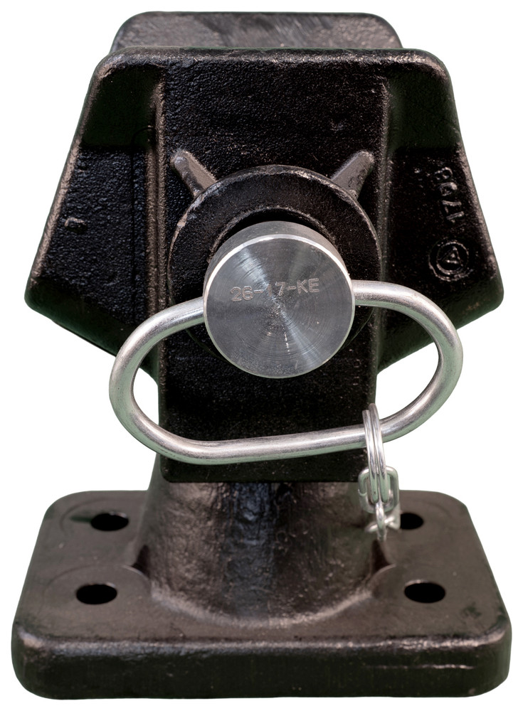 Gancio omologato perno 31mm interasse 120x55mm - Ama