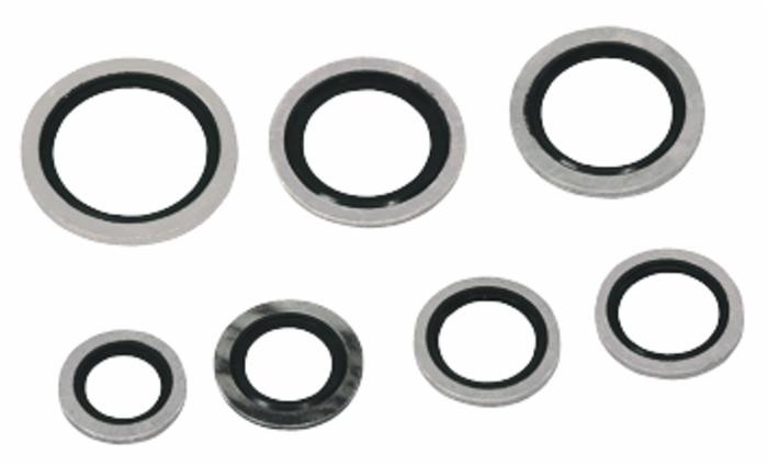 Guarnizione di tenuta “Bonded” da 22 - Ama Refluid