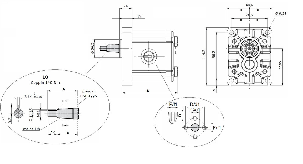 Pompa ad ingranaggi gruppo 2 19,80 CC dx - Ama Refluid