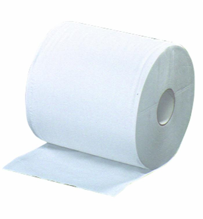 Rotolo asciugatutto di carta 800 strappi - Ama