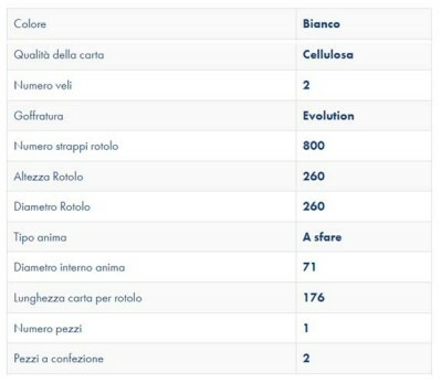 Rotolo asciugatutto di carta 800 strappi - Ama
