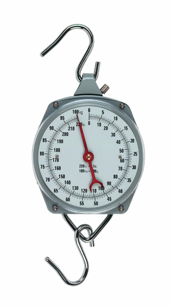 Bilancia sospesa con quadrante portata 100kg passi 500g - Ama