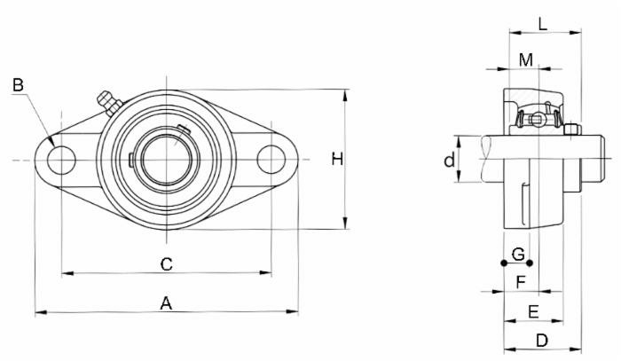 Supporto a flangia con due fori Ama UCFL 206 con cuscinetto Ø 30mm - Ama