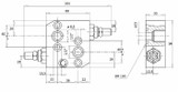 Valvola antiurto per motori orbitali serie ws - Ama Refluid
