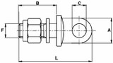 Perno occhio per catene 20x2,5 corto - Ama