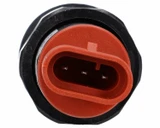 Interruttore a pulsante Pneutron Nero - Pneutron