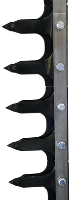 Dentiera 14 denti lunghezza 2,05 mt adattabile a Gaspardo FBR 13013770 - Ama