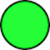 Filo per decespugliatore Evergreen da 15m sezione tonda Ø 1,65mm - Ama