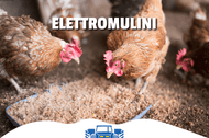 Mulino elettrico per animali: scopri la serie Magico di Ama