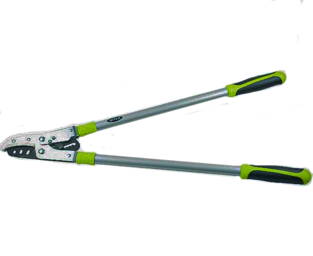 Troncarami Hobby - Ama