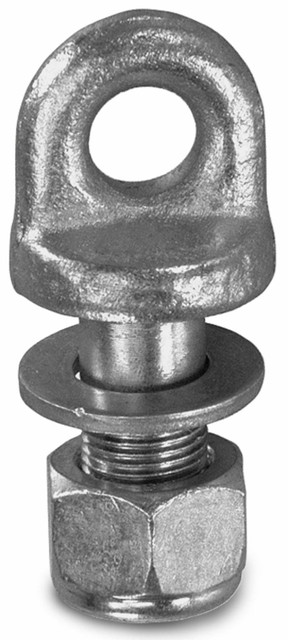 Perno occhio per catene 20x2,5 corto - Ama