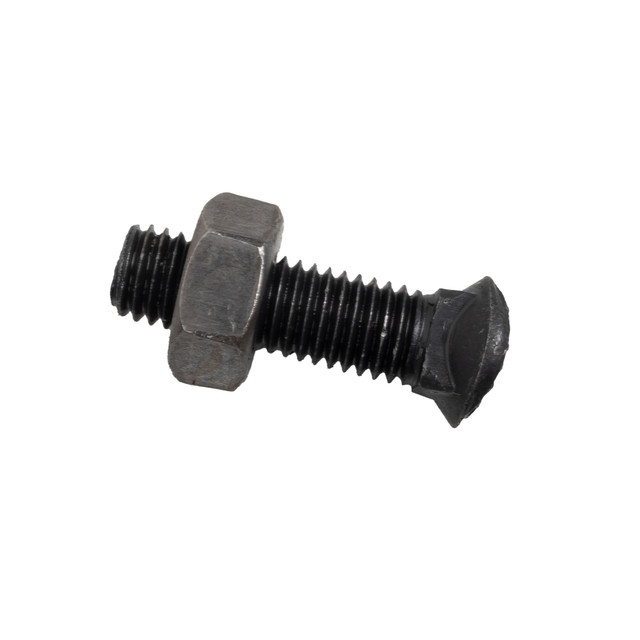 Bullone testa ovale M10x38 con dado - Ama