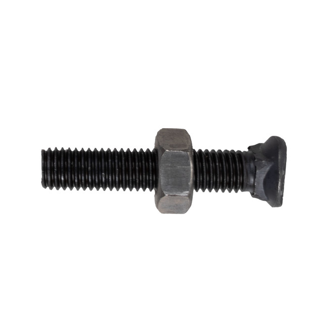 Bullone testa ovale M10x55 con dado - Ama