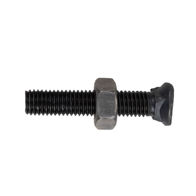 Bullone testa ovale M10x55 con dado - Ama