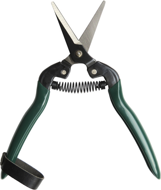 Forbice per vendemmia 185mm - Ama