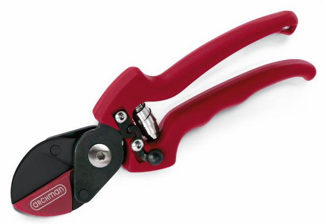 Forbice potatura a lama battente dritta 21cm - No brand