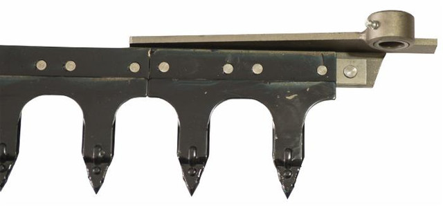 Dentiera 12 denti con testa tranciata lunghezza 1,75 mt adattabile a Gaspardo FB 940 - Ama