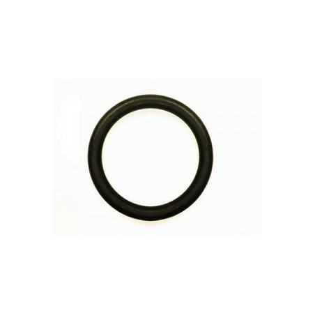 Guarnizione Arag g11058v per raccordi a tenuta con or g 3/4" - Arag