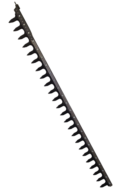 Dentiera 12 denti lunghezza 1,75m adattabile a Gaspardo FBR 13013770 - Ama
