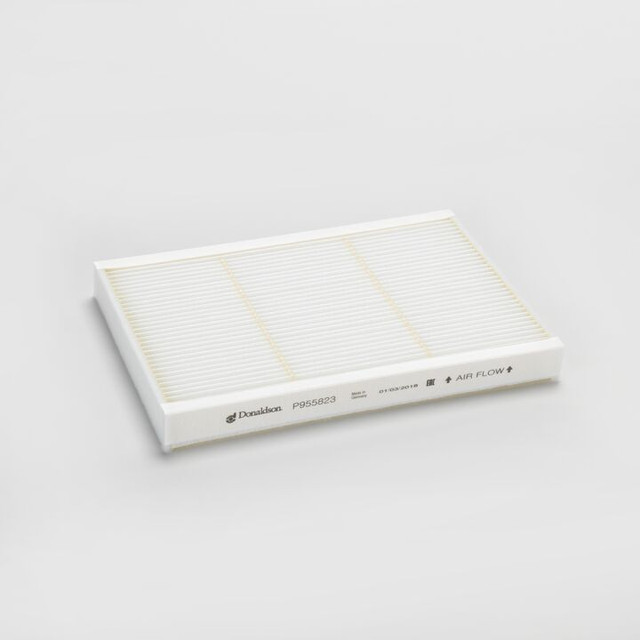Filtro d'aria Donaldson P955823 - Donaldson