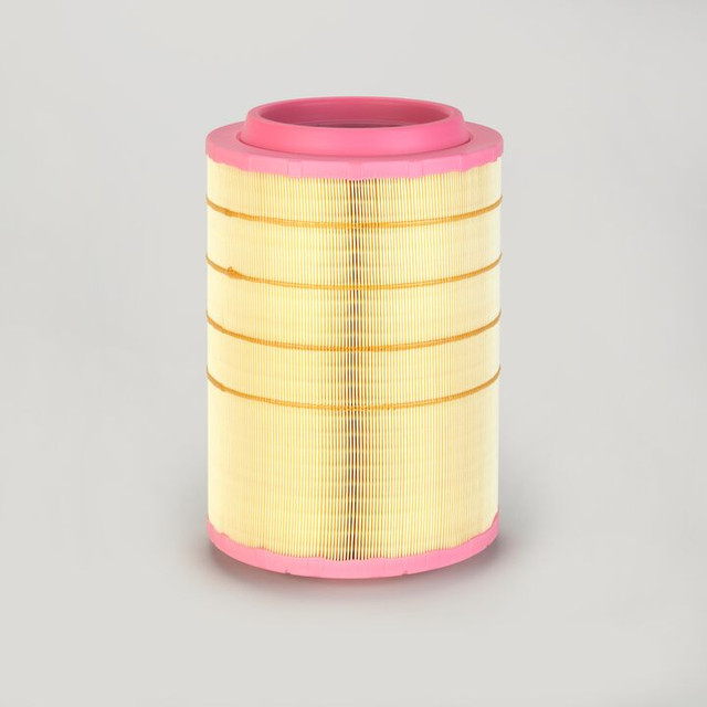 Filtro per l'aria Donaldson P785353 - Donaldson