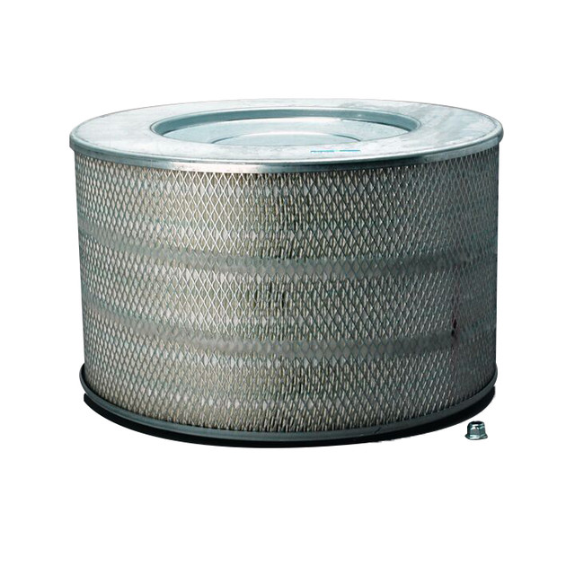 Filtro per l'aria Donaldson P780848 - Donaldson