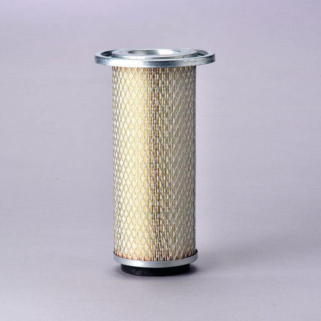 Filtro per l'aria Donaldson P778340 - Donaldson