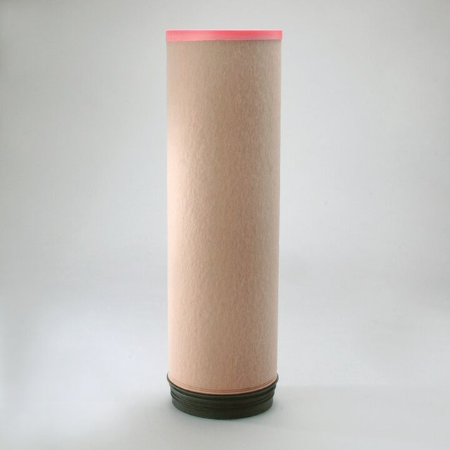 Filtro per l'aria Donaldson  P618932 - Donaldson