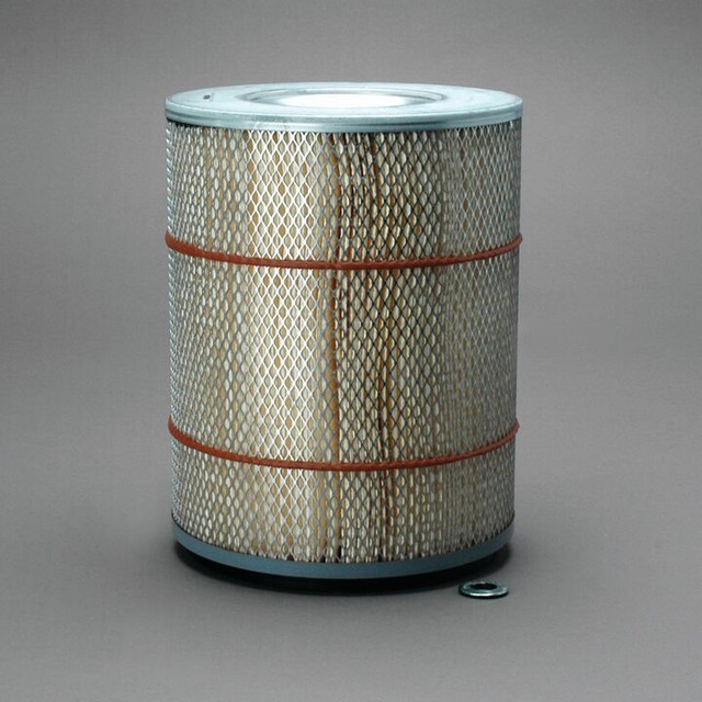 Filtro per l'aria Donaldson P607266 - Donaldson