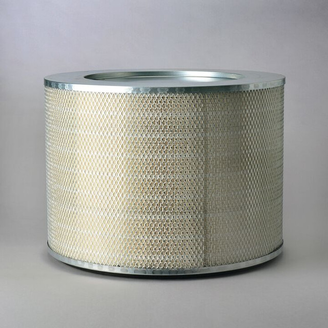 Filtro per l'aria Donaldson P535114 - Donaldson