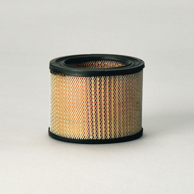 Filtro per l'aria Donaldson P528220 - Donaldson