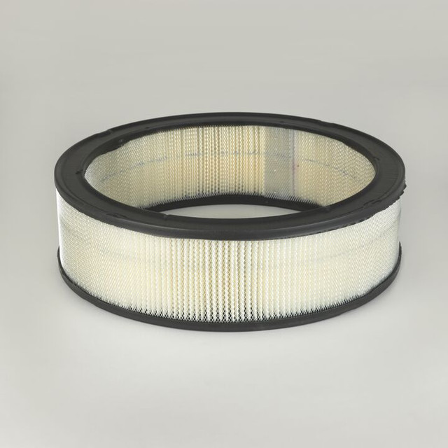 Filtro per l'aria Donaldson P524373 - Donaldson