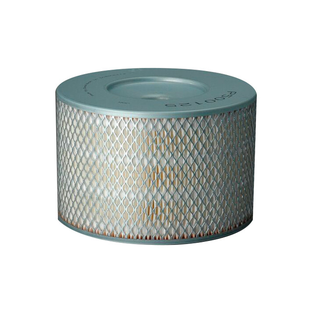 Filtro per l'aria Donaldson P500125 - Donaldson