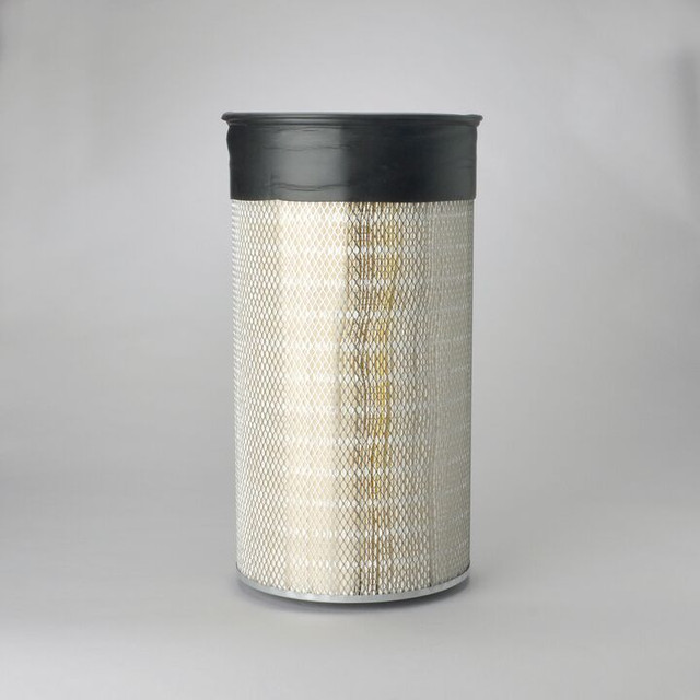 Filtro per l'aria Donaldson P181078 - Donaldson