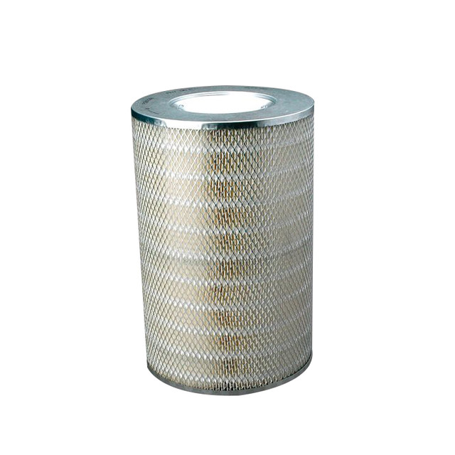 Filtro per l'aria Donaldson P181028 - Donaldson