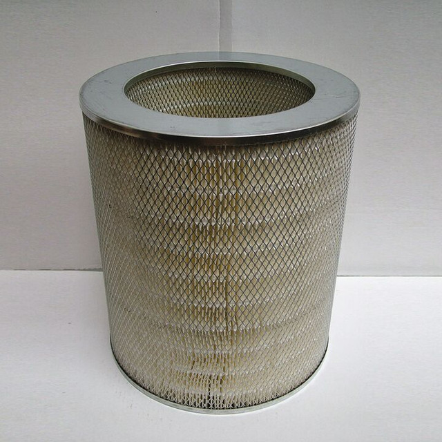 Filtro per l'aria Donaldson P181036 - Donaldson