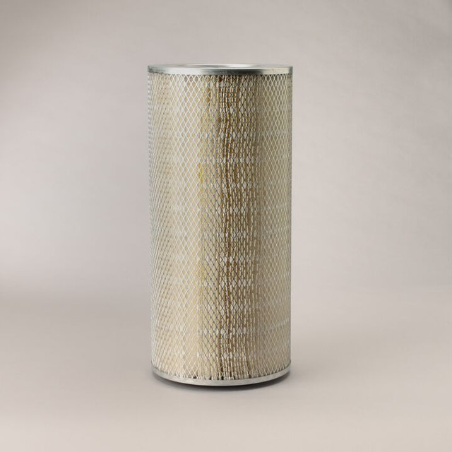 Filtro per l'aria Donaldson P145756 - Donaldson